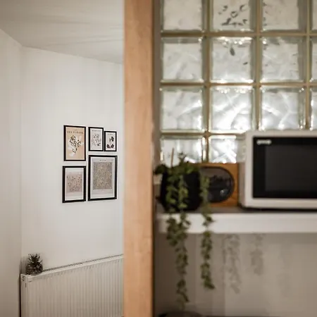 Geri Vintage Apartment *