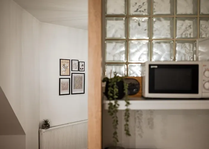 Geri Vintage Apartament *